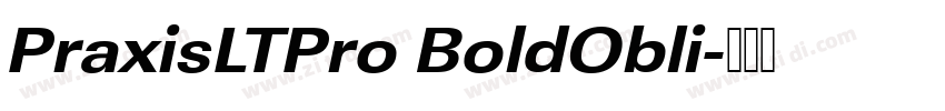 PraxisLTPro BoldObli字体转换